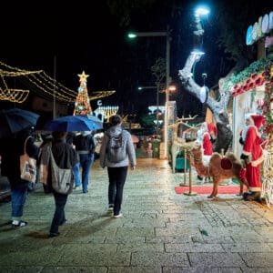 גשם, מטריה, מטריות, דצמבר, חג החגים, המושבה הגרמנית, בן גוריון, שלולית, חורף, עץ אשוח, אורות, קישוטים, חג המולד, סנטה, איילים