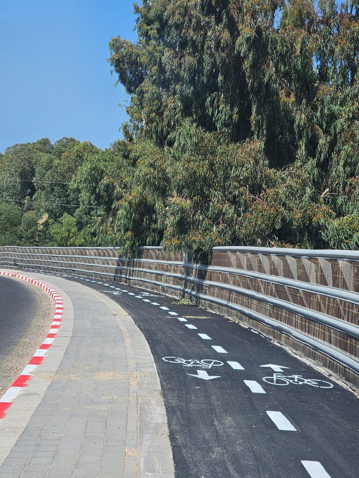 מטרופן - רשת שבילי האופניים במטרופולין חיפה (צילום: משרד התחבורה)