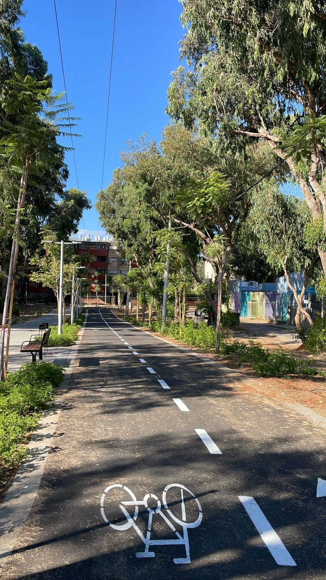 מטרופן - רשת שבילי האופניים במטרופולין חיפה (צילום: משרד התחבורה)