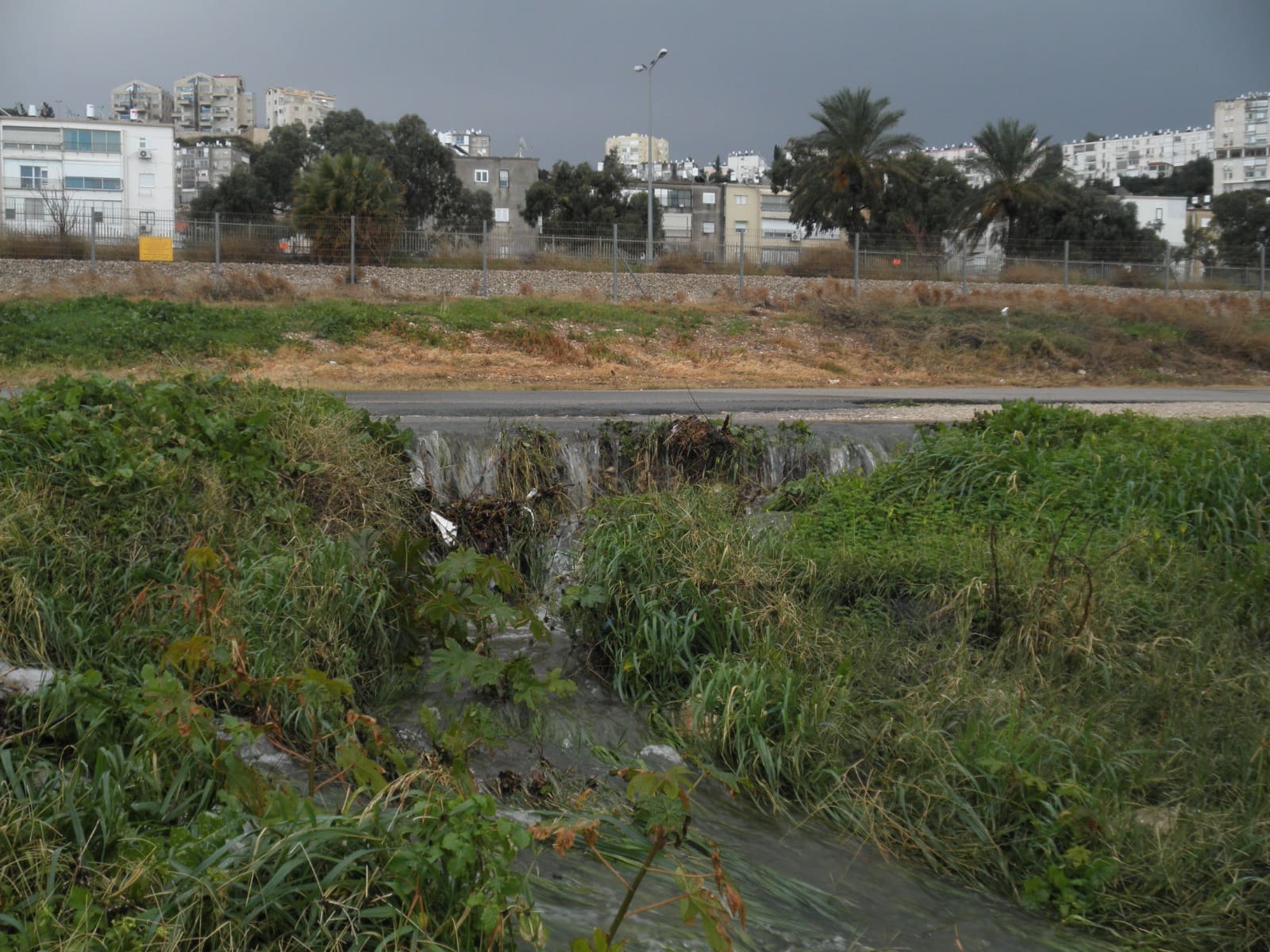 נחל הנעמן (צילום: מוטי מנדלסון)