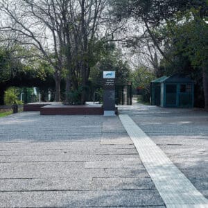 רפואה, השכלה גבוהה, אוניברסיטה, מגדל אשכול, רב תכליתי, אקדמי, לימודים, פקולטה, פקולטות,תואר, סטודנט, רכס הכרמל, הר הכרמל, פארק הכרמל, מפרץ חיפה, מבט פנורמי, קו רקיע, אוסקר נימאייר, ברוטליזם, בטון חשוף, בניין המדרגה, הספרייה המרכזית, מוזיאון הכט, מעונות, רכבלית, מחקר, מעבדות, רב-תרבותיות, תואר ראשון, תואר שני, דוקטורט, חוקרים, מרצים, אקדמיה, למיד