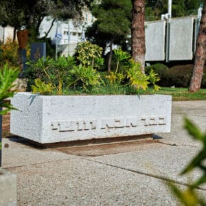 רפואה, השכלה גבוהה, אוניברסיטה, מגדל אשכול, רב תכליתי, אקדמי, לימודים, פקולטה, פקולטות,תואר, סטודנט, רכס הכרמל, הר הכרמל, פארק הכרמל, מפרץ חיפה, מבט פנורמי, קו רקיע, אוסקר נימאייר, ברוטליזם, בטון חשוף, בניין המדרגה, הספרייה המרכזית, מוזיאון הכט, מעונות, רכבלית, מחקר, מעבדות, רב-תרבותיות, תואר ראשון, תואר שני, דוקטורט, חוקרים, מרצים, אקדמיה, למיד