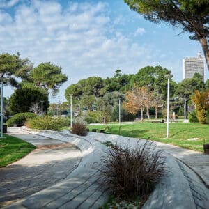 רפואה, השכלה גבוהה, אוניברסיטה, מגדל אשכול, רב תכליתי, אקדמי, לימודים, פקולטה, פקולטות,תואר, סטודנט, רכס הכרמל, הר הכרמל, פארק הכרמל, מפרץ חיפה, מבט פנורמי, קו רקיע, אוסקר נימאייר, ברוטליזם, בטון חשוף, בניין המדרגה, הספרייה המרכזית, מוזיאון הכט, מעונות, רכבלית, מחקר, מעבדות, רב-תרבותיות, תואר ראשון, תואר שני, דוקטורט, חוקרים, מרצים, אקדמיה, למיד