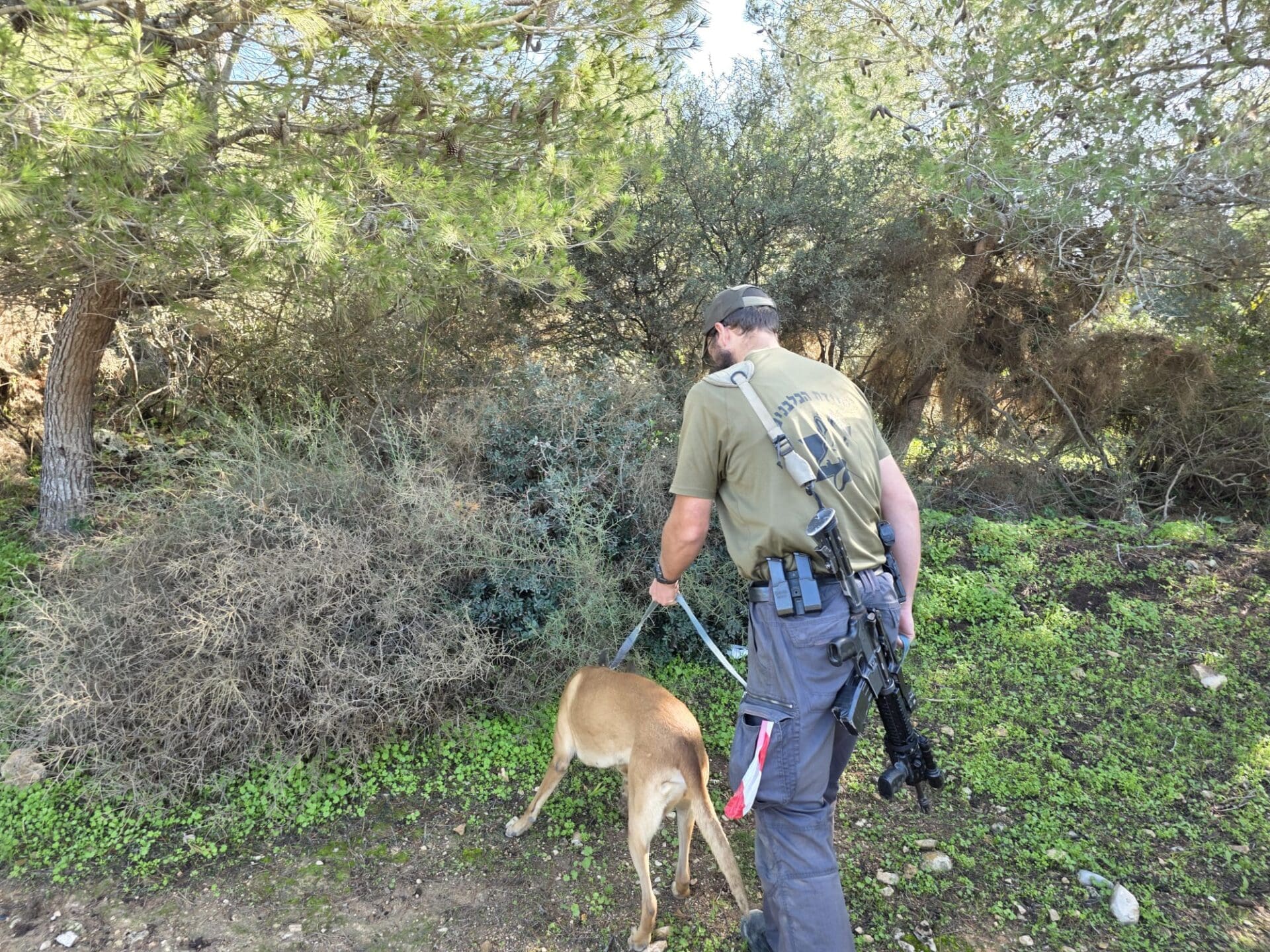 חיפושים אחר המנוח, איתמר שלזינגר (צילום: יכ"ל)