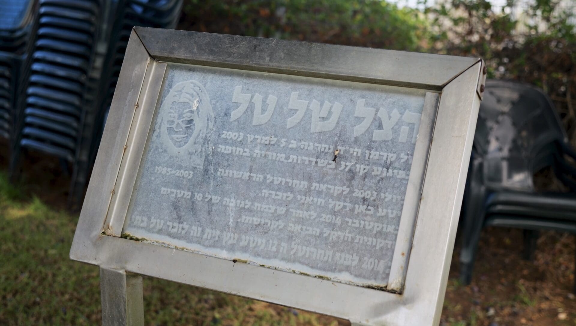 הצל של טל (צילום: גל הכהן)