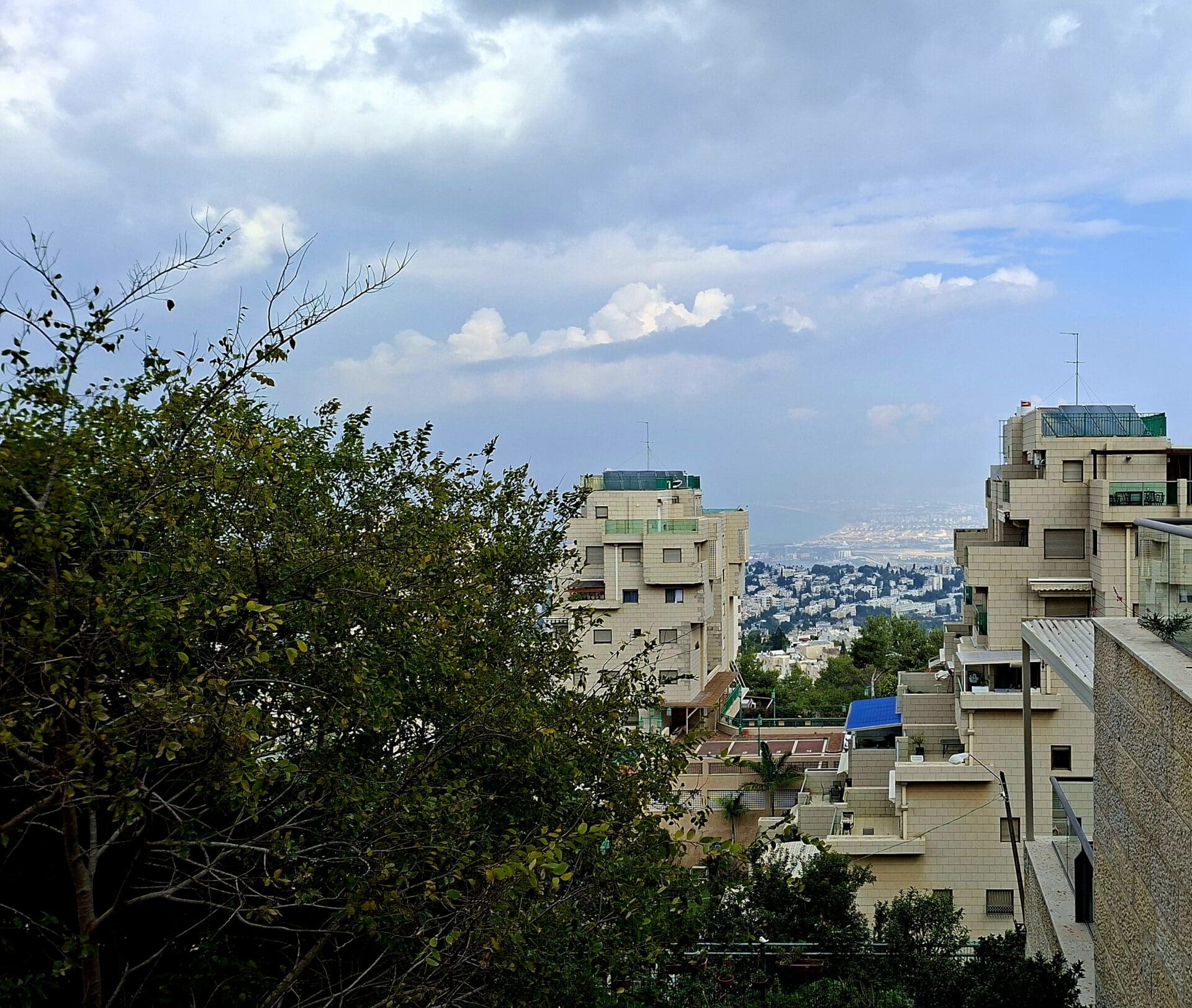 בבית ליזט ממן פוגל - נוף ירוק, ים כחול ושמיים גם (צילום: רחלי אורבך)