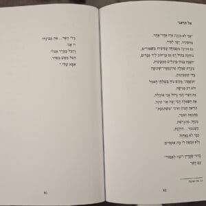 בבית ליזט ממן פוגל – מתוך "חומר נפש" -התנגדות שקטה אך עיקשת להיכנס לתבנית (צילום: רחלי אורבך)