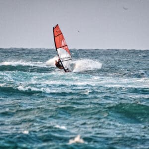 גלישה, ספורט, ים, בילוי, פנאי, פעילות, ימי, מועדון אלנבי, גלישת רוח, גולש, גולשים, מפרש, גל, ים