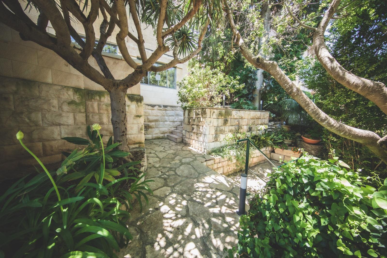 בית טריפון בחיפה (צילום: שרה ורבנר)