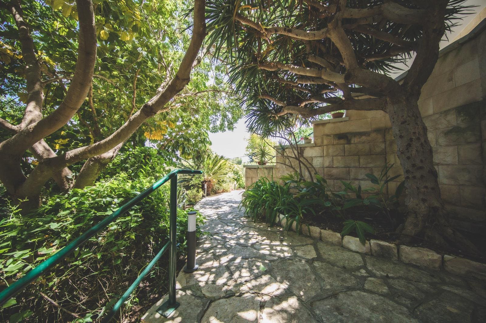 בית טריפון בחיפה (צילום: שרה ורבנר)