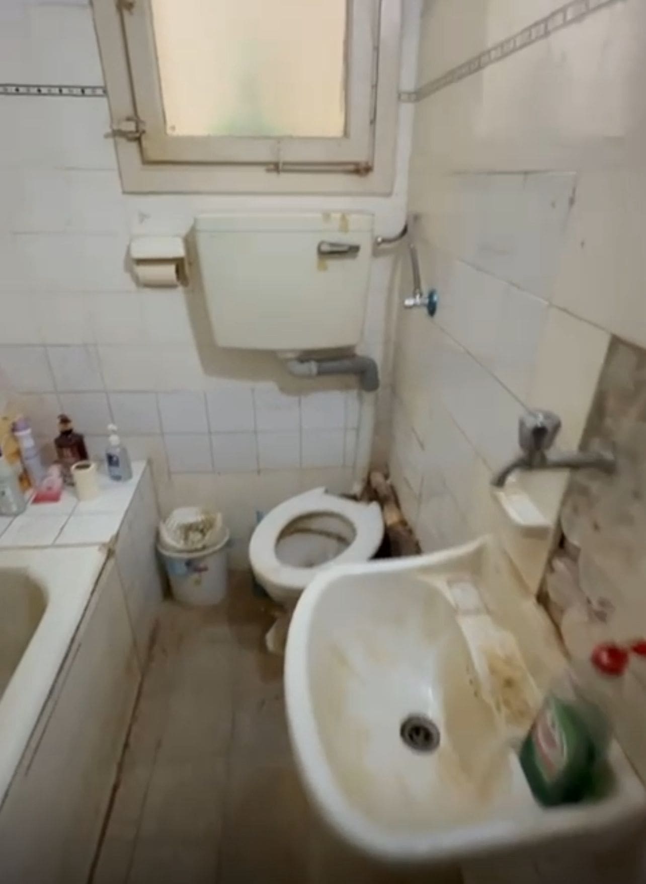 כך נראים חייה של ניצולת שואה בת 93 (צילום: פרטי)