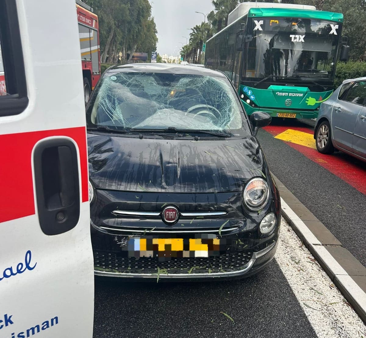 רכב שנפגע מעץ שנפל (צילום: מד