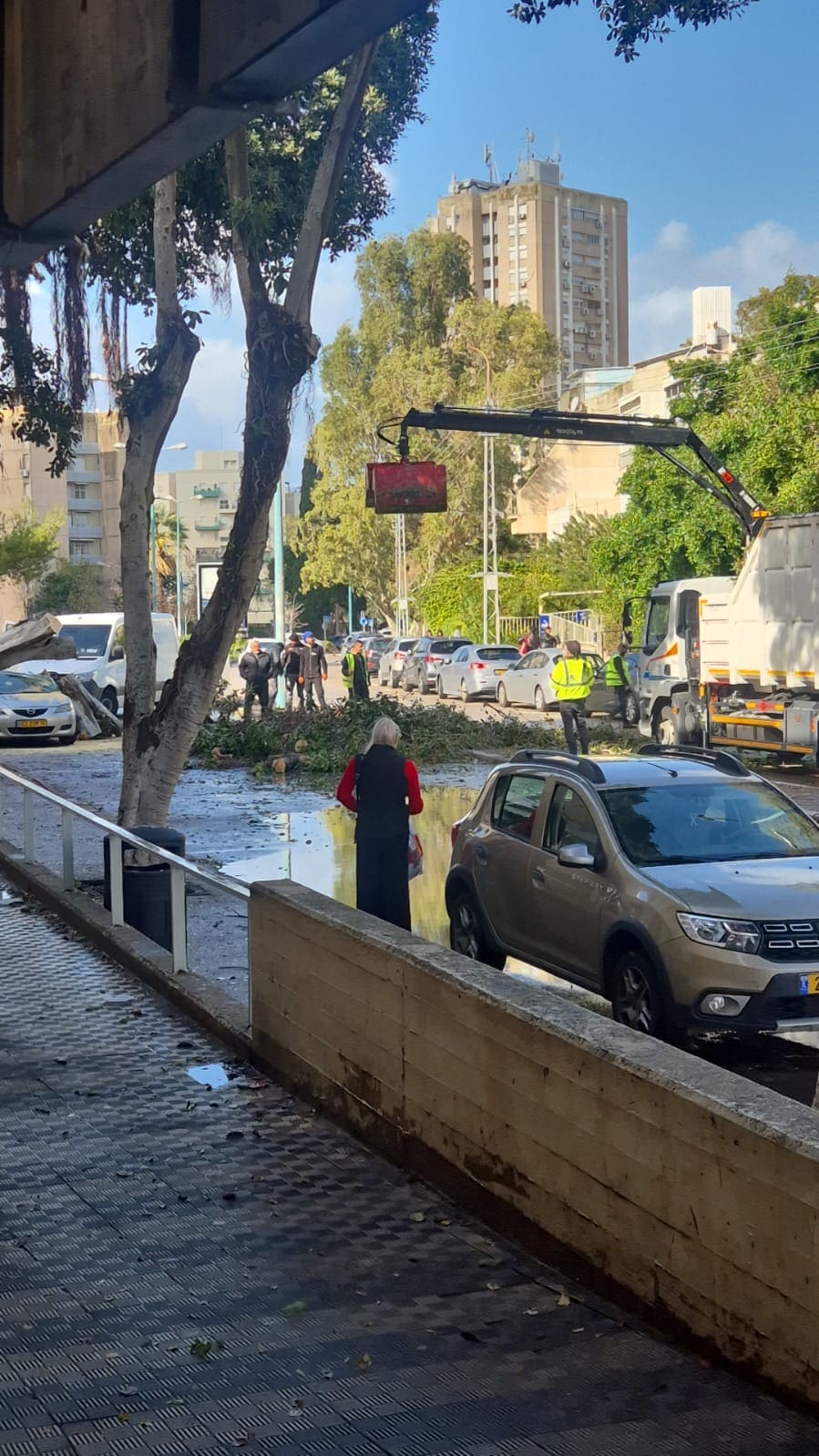 פינוי המפגע ברחוב חניתה (צילום: עיריית חיפה) 
