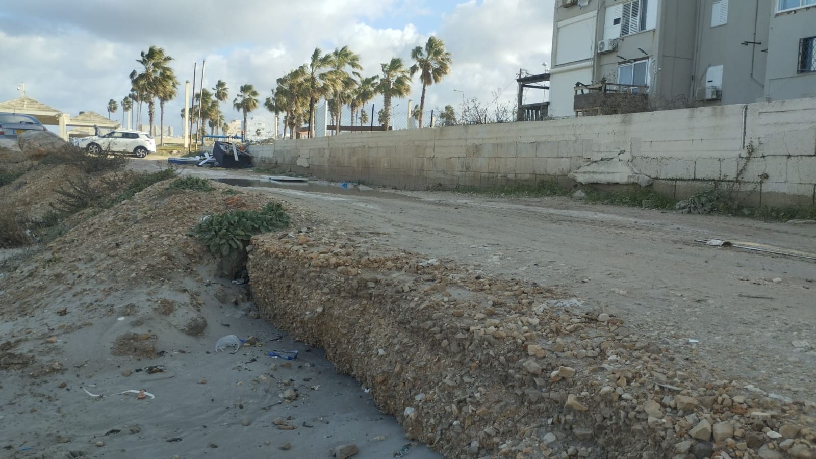 המים בקרבת הבית הראשון בדגניה (צילום: מוטי מנדלסון)