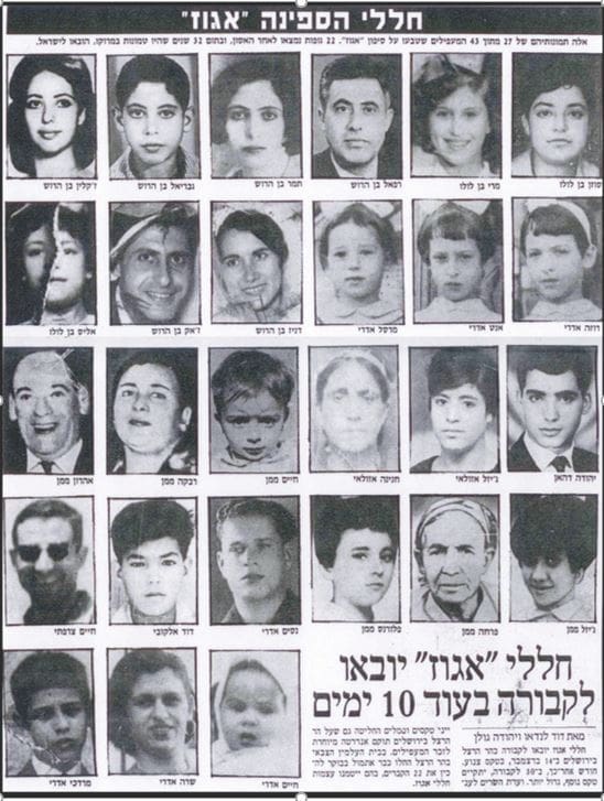חללי אגוז (צילום: אבי נחמני)
