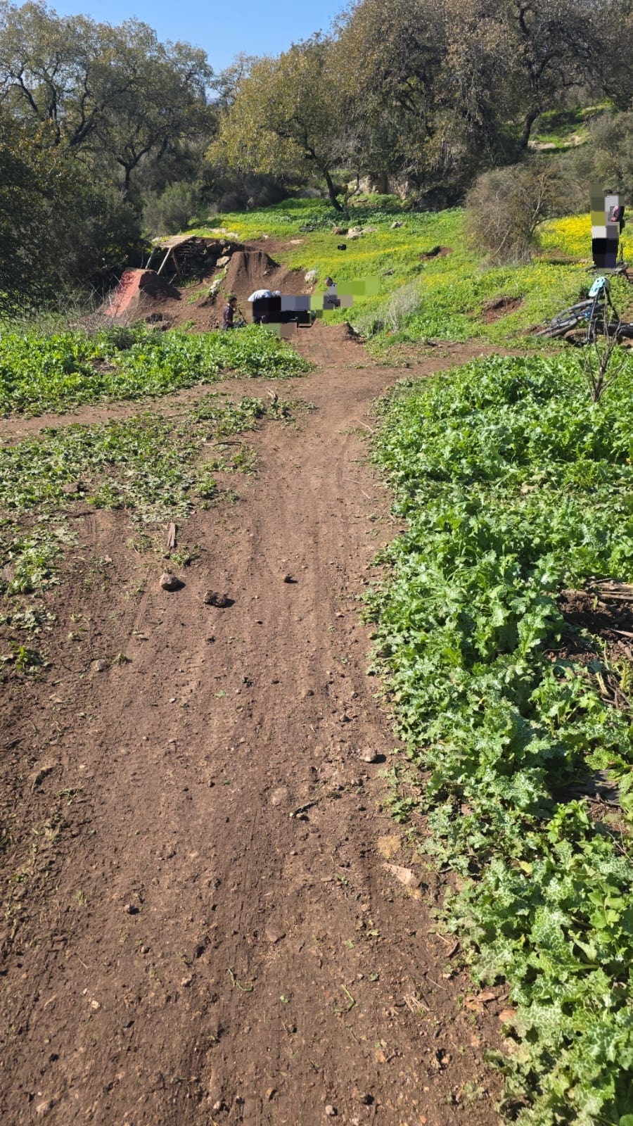 תאונת אופניים בשטח פתוח (צילום: איחוד הצלה)