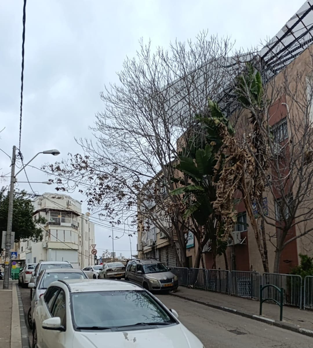 גג ארעי שעף ברחוב מיכאל בחיפה (צילום: איתי קורא חי פה)