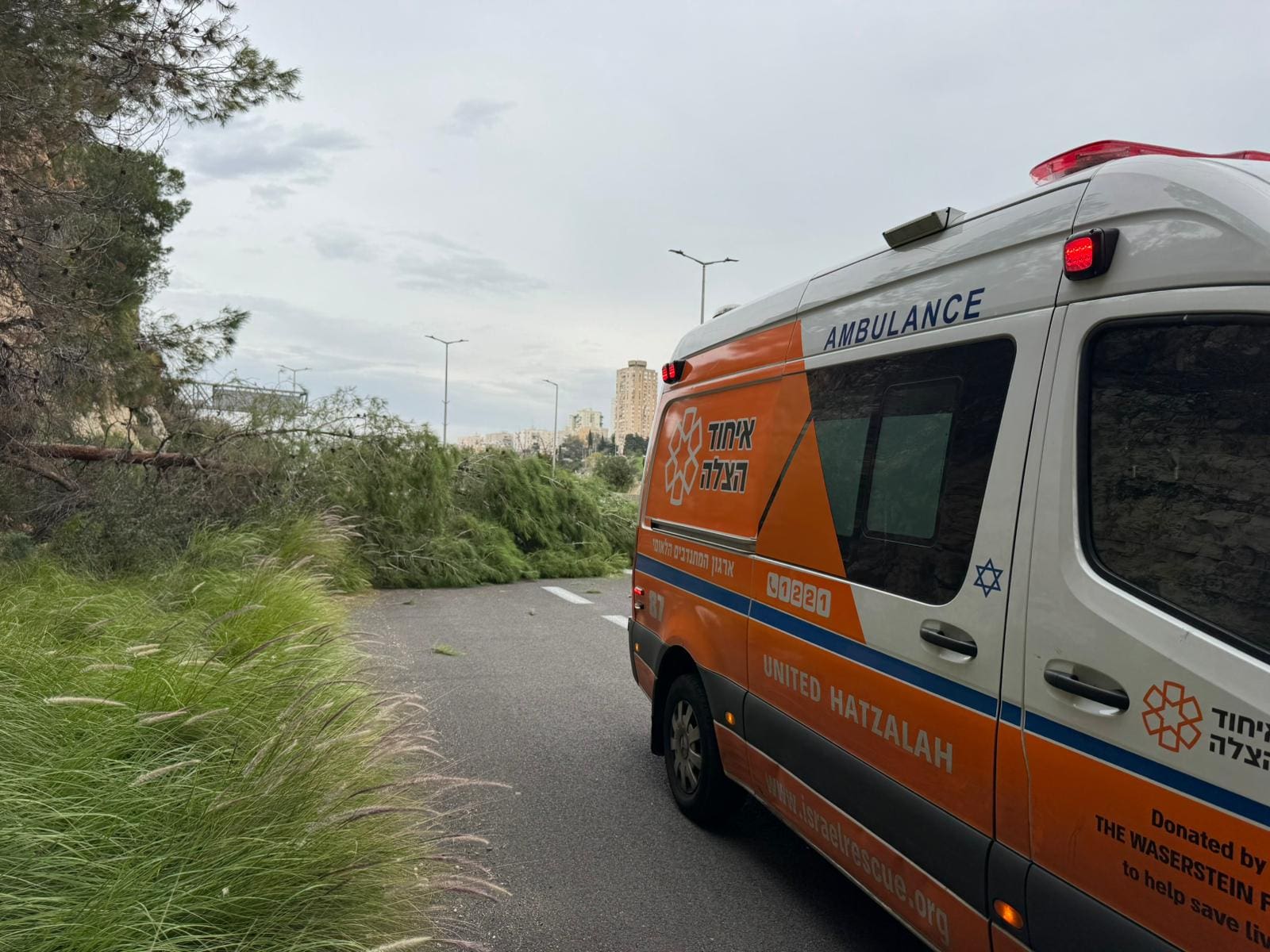 דרך רופין  בחיפה עקב דיווח על עץ שקרס על הכביש. למרבה הנס לא אותרו נפגעים (צילום: איחוד הצלה)