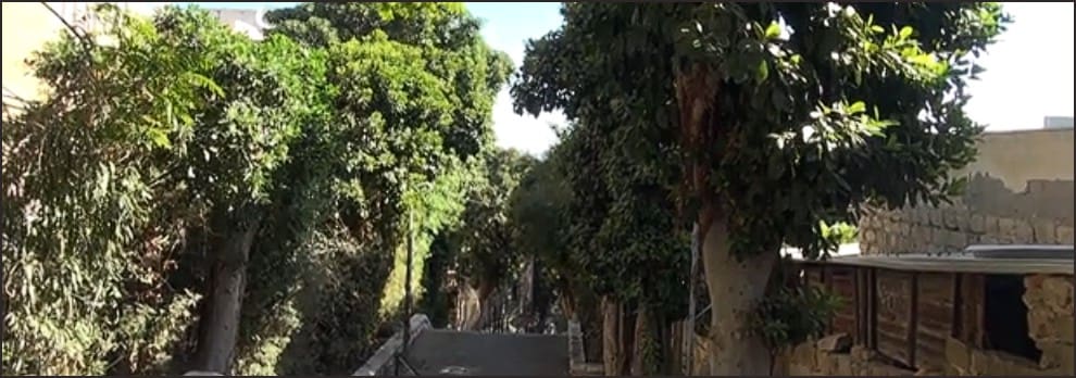 מדרגות הנביאים (צילום: רותי מיוחס)