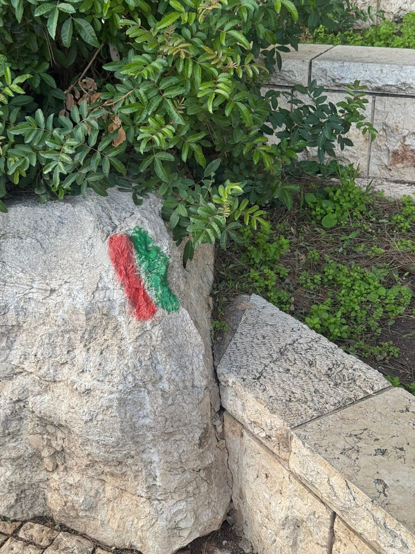 סימון אדום ירוק לאורך טיילת לואי (צילום: גל הכהן)