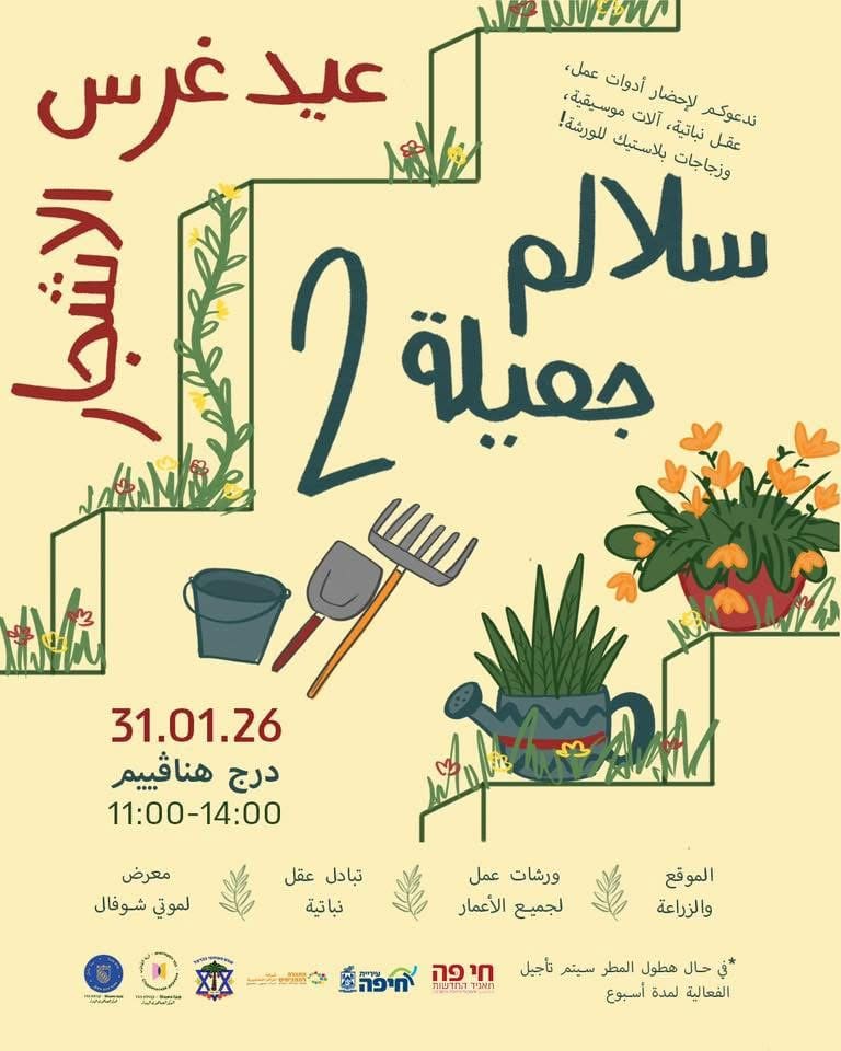 מדרגות נאות: ט"ו בשבט במדרגות הנביאים. צילום: י. ק. שם שמור במערכת