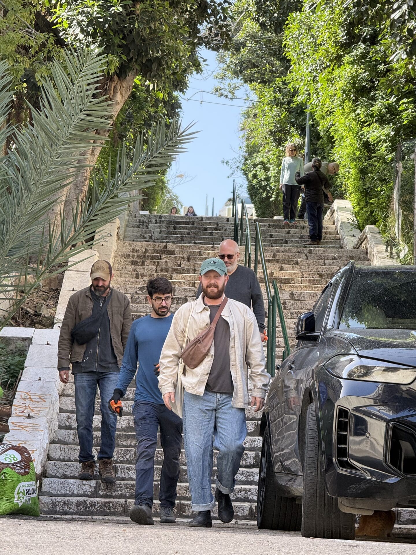 מדרגות נאות: ט"ו בשבט במדרגות הנביאים. צילום: י. ק. שם שמור במערכת