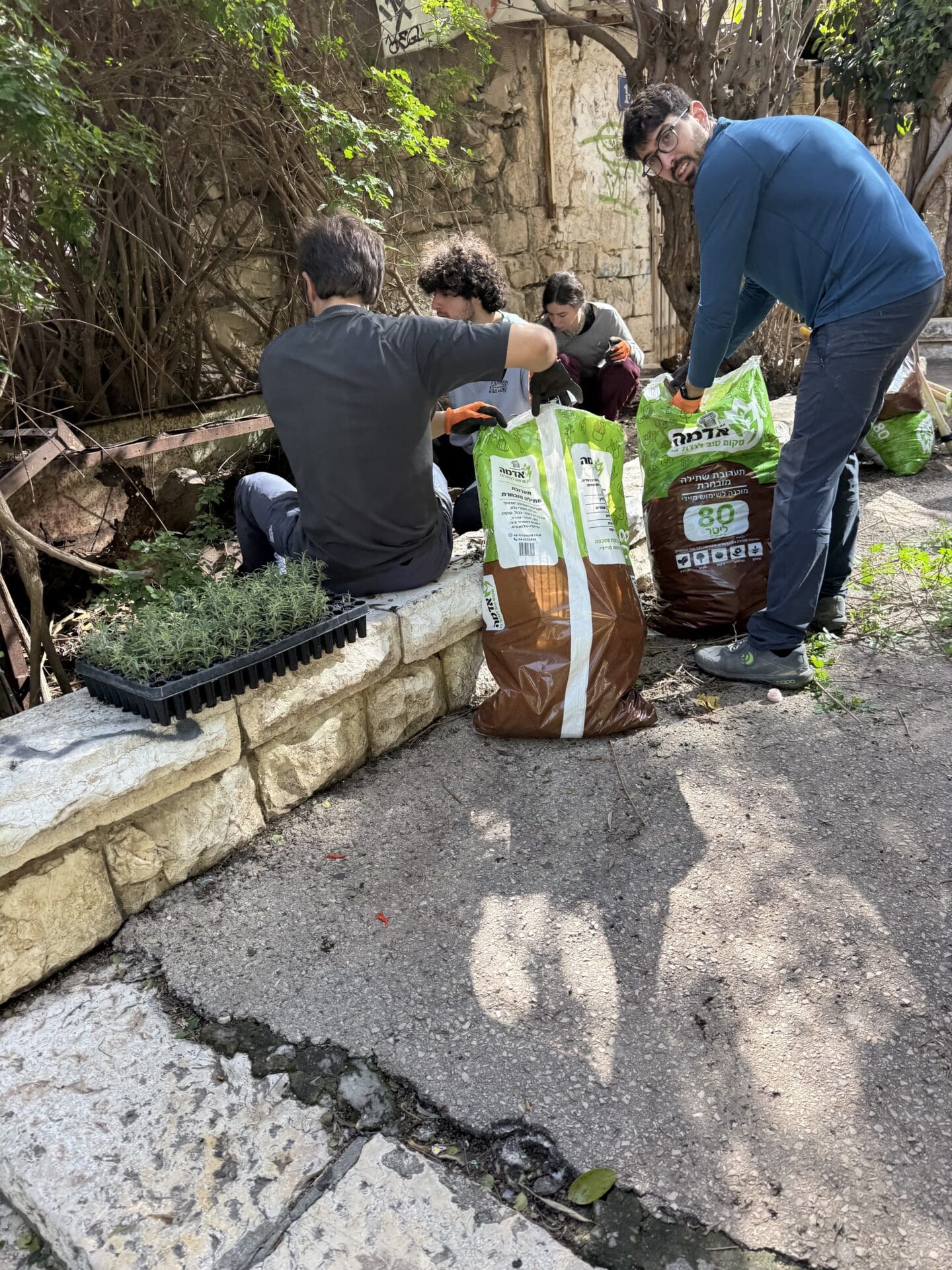 מדרגות נאות: ט"ו בשבט במדרגות הנביאים. צילום: י. ק. שם שמור במערכת