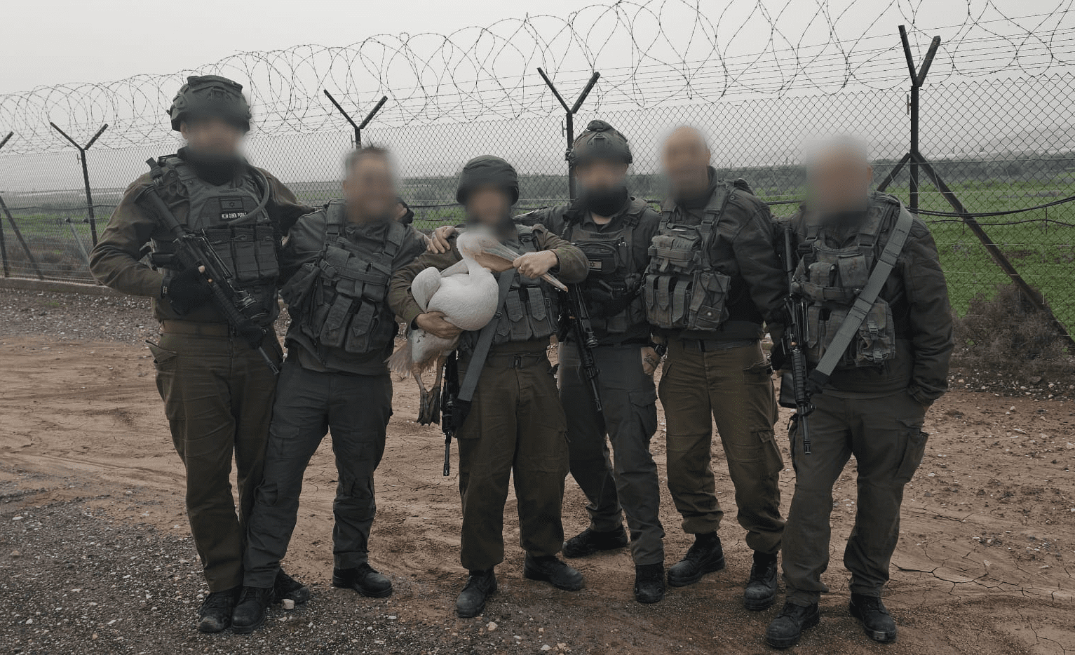 חיילי מילואים מצילים שקנאי בגדר המערכת (צילום - גלעד)
