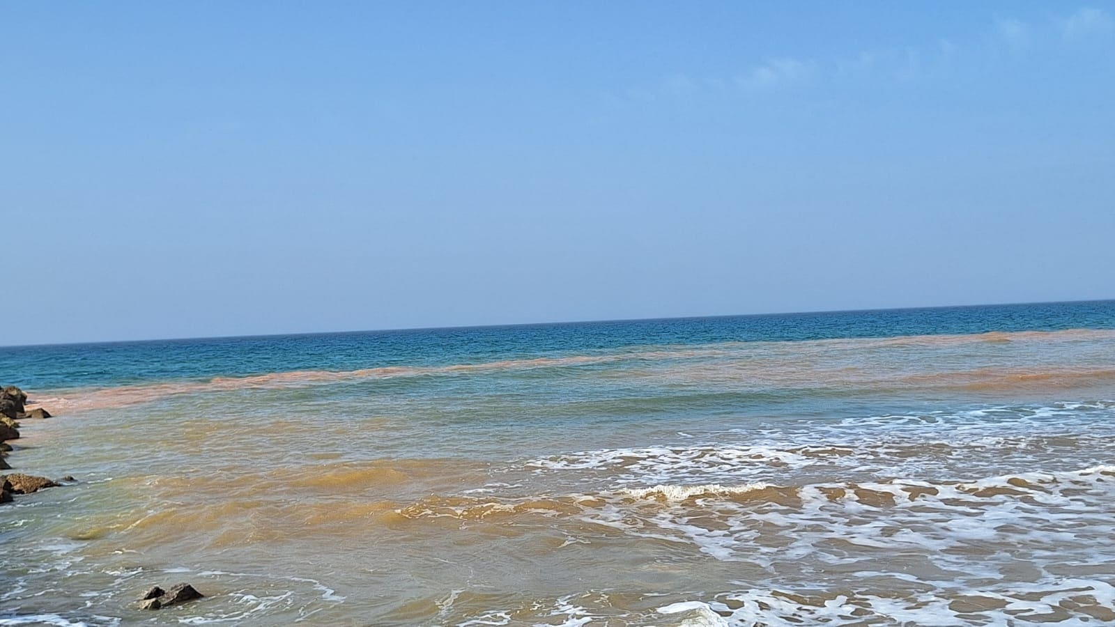 כתם חום בים מול הקדרים בדדו (צילום: חי פה בשטח)