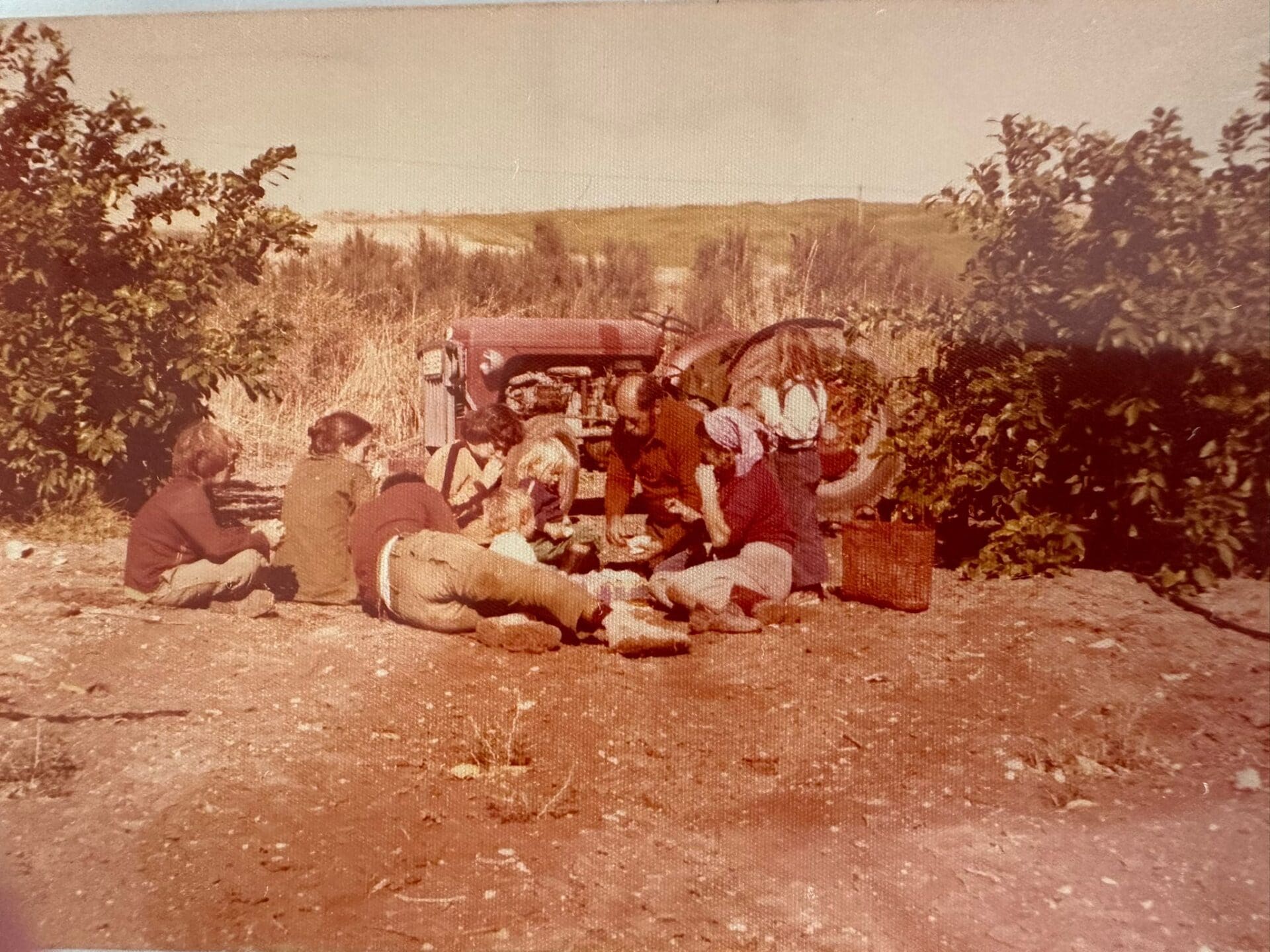 בבית פנינה משקטו - מקום פרדס הפומלות העכשווי, לפני 45 שנה (צילום: אלבום פרטי, משפ' משקטו)