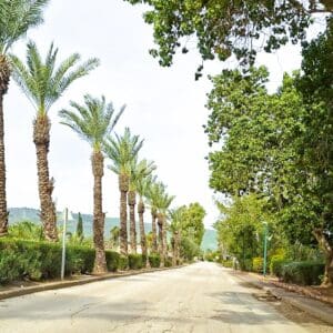 אל בית פנינה משקטו -מנחמיה, ע"ש אבי הנציב העליון הרברט סמואל (צילום: רחלי אורבך)