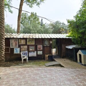בבית פנינה משקטו -המחסן אשר בחצר ועיטוריו (צילום: רחלי אורבך)