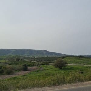אל בית פנינה משקטו – אזור הפרדסים והיבול (צילום: רחלי אורבך)