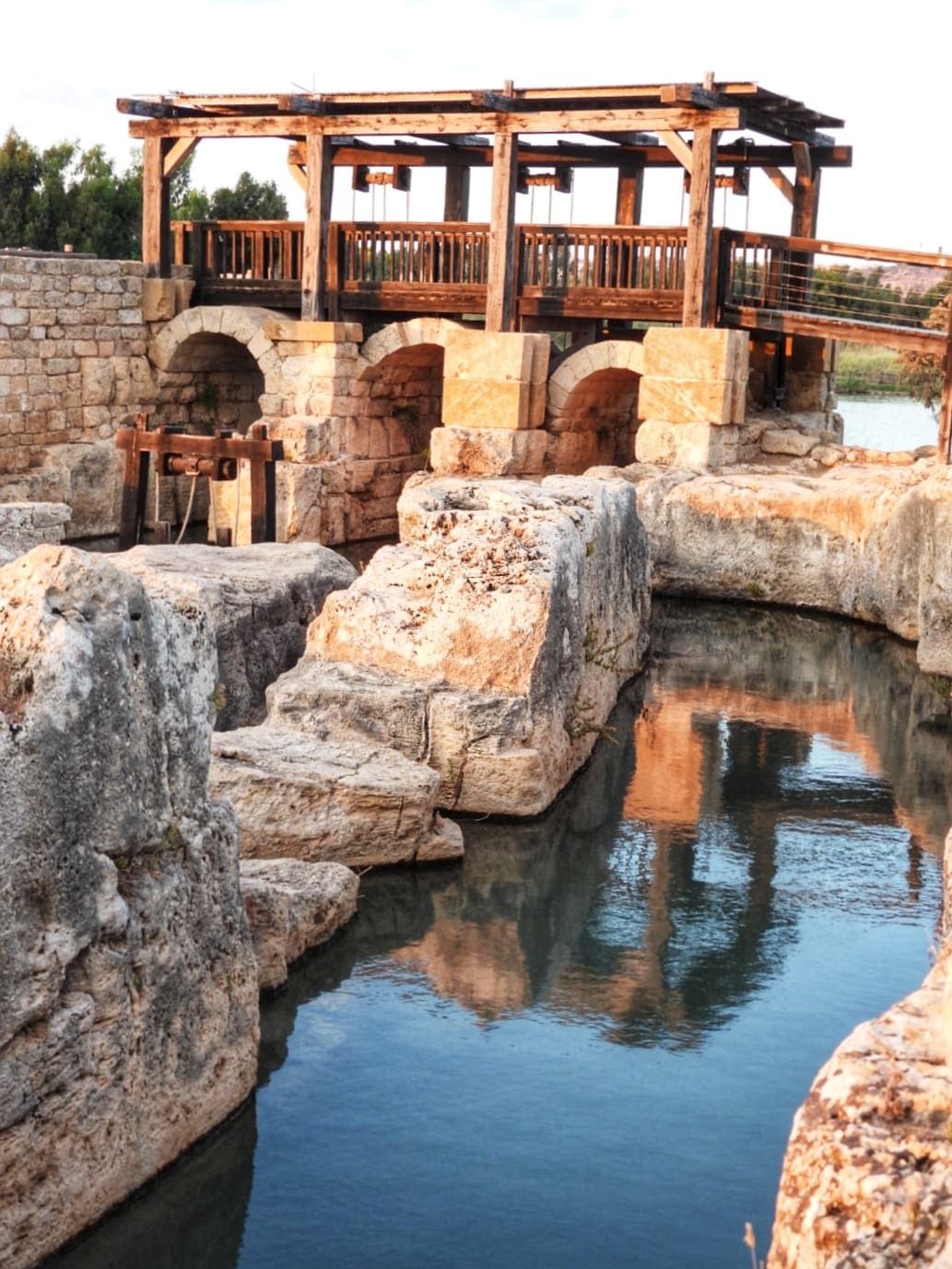 נחל תנינים (צילום: שרית פלצי מיארה רשות הטבע והגנים)