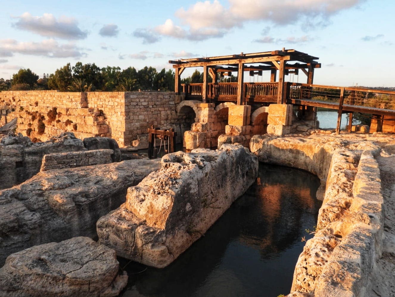 נחל תנינים (צילום: שרית פלצי מיארה רשות הטבע והגנים)