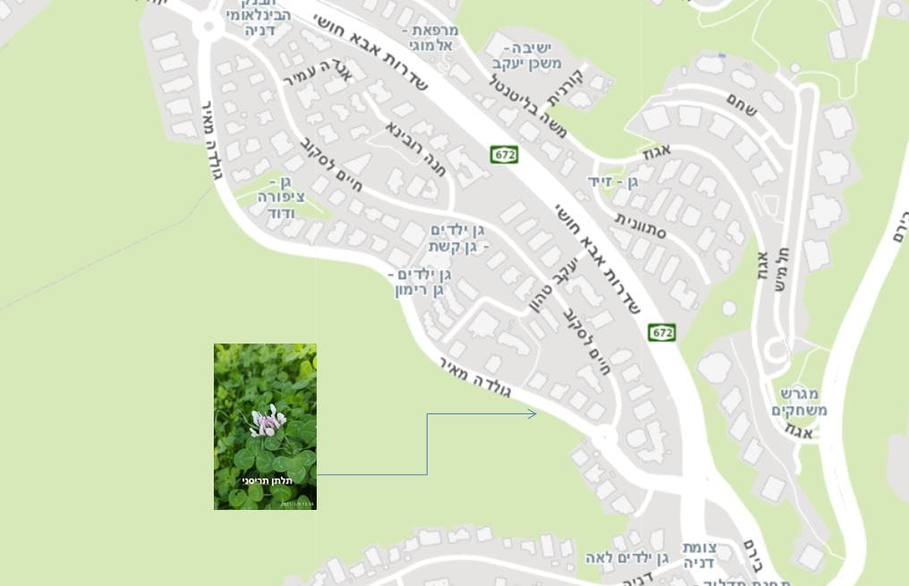 מפגש עם תלתן תריסני • המפה באדיבות מרכז מפות ישראל