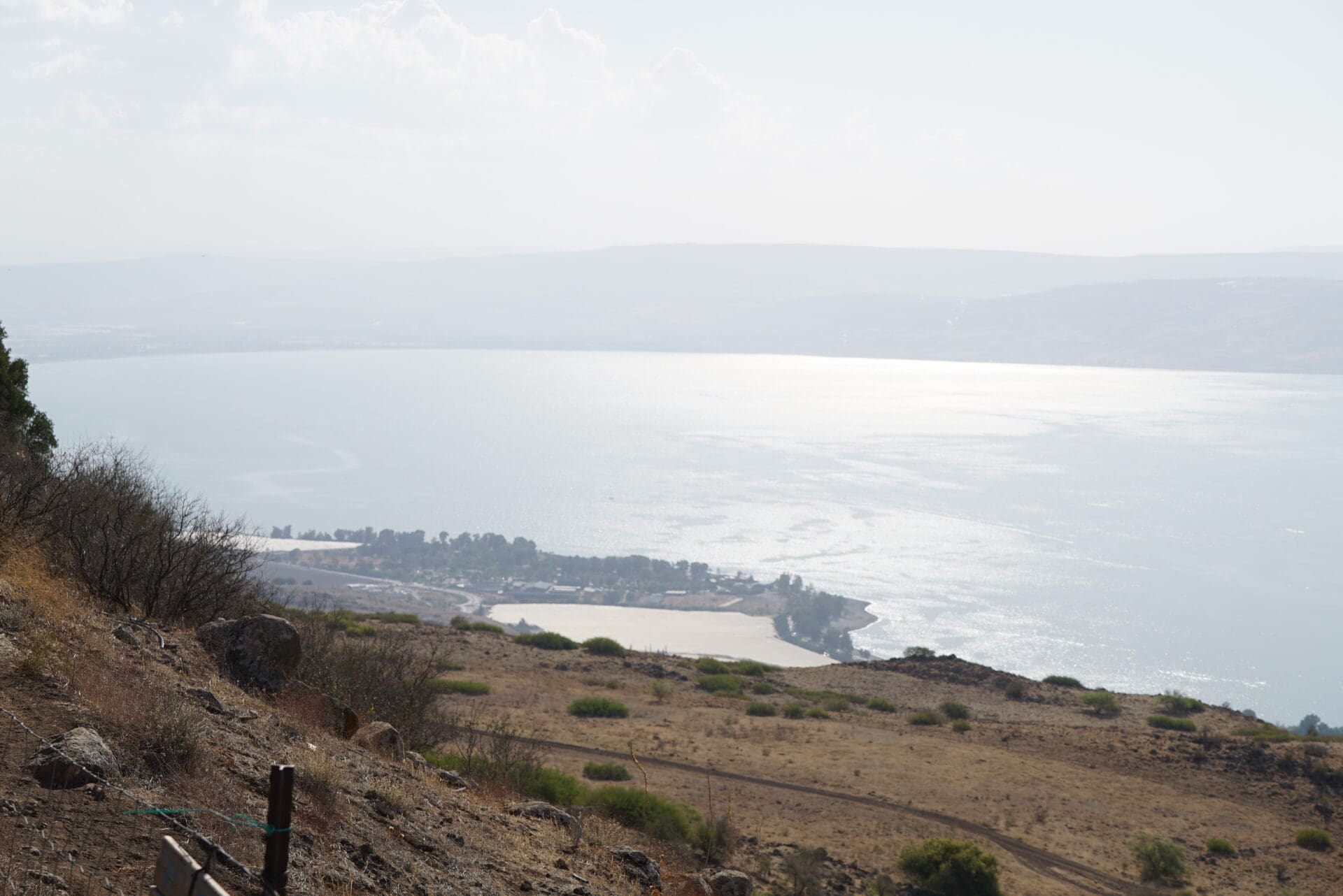 הכנרת, עין גב, החוף המזרחי, שמורת הבטיחה (צילום: ירון כרמי)