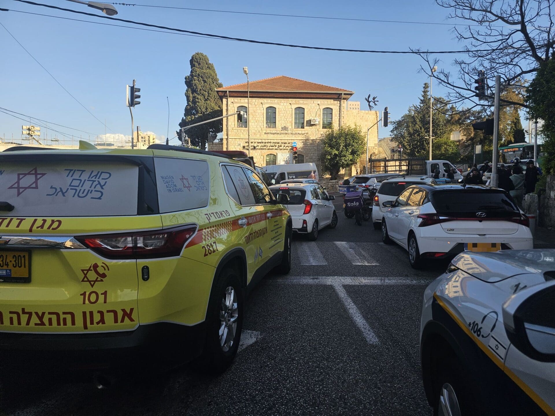 תאונת אופניים בחיפה (צילום: מד