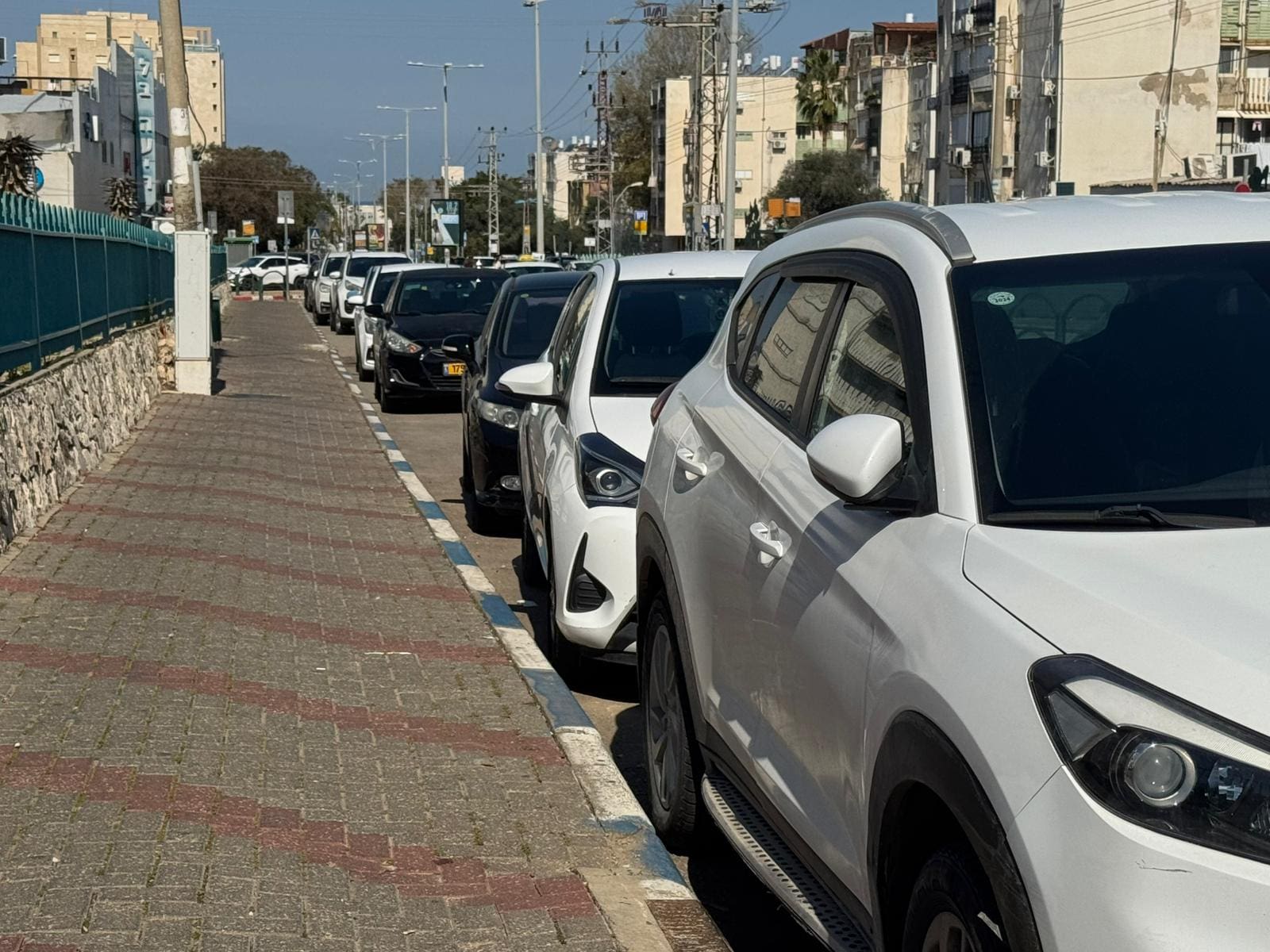 חניה בכחול לבן (צילום: ע.טירת כרמל)