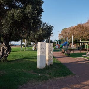 ההגנה, גן אלכס, עץ, זית, הצללה, צל, טבעי, גן משחקים, מתקני משחק, מגלשה כחולה, מגלשה צהובה, מנהרת זחילה, פארק עירוני, דשא סינתטי, בטיחות ילדים, ציוד שעשועים, חצר ציבורית, אזור פנאי, משחקי ילדים, מתקן טיפוס, עמודי תאורה, עצים ירוקים, ספסלי ישיבה, בנייני מגורים ברקע, יום שמשי, צללים ארוכים, סביבה עירונית, פארק שכונתי, חוץ, צבעוני, ריק מאנשים, תשתית עירונית, גן אלכס