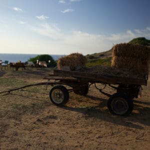 מעברה, מגורים, צריף, עוני, מחנה, פליטים, קליטה, היסטוריה, מגורים, ארעי, קהילה, משפחות, כביסה, חקלאות, עגלה, קש, אדמה, שדה, כפרי, התיישבות, שיכון, מעבר, חיים, עבר, תיעוד