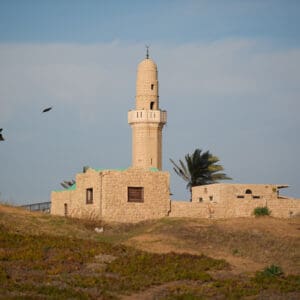 מסגד, צריח, דת, איסלאם, תפילה, מבנה, אבן, אדריכלות, היסטוריה, מורשת, תרבות, קדושה, דתיות, דת, כפר, שמים, טבע, ציפור, נוף, עתיק, אמונה, מסורת, סידני עלי, סידנא עלי