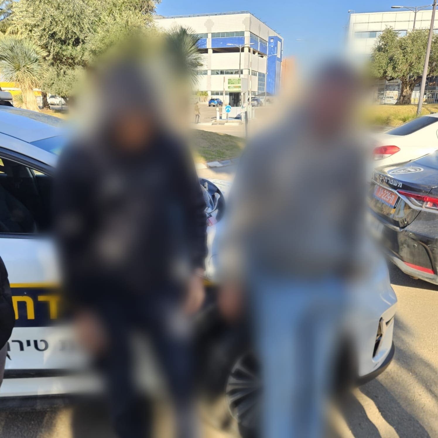 מעצר שב"חים (צילום: משטרת ישראל)