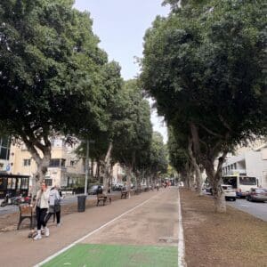 שדרה עם עצים – רחוב מוצל עם שביל להולכי רגל – תל אביב (צילום: ירון כרמי)