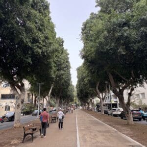 שדרה עם עצים – רחוב מוצל עם שביל להולכי רגל – תל אביב (צילום: ירון כרמי)