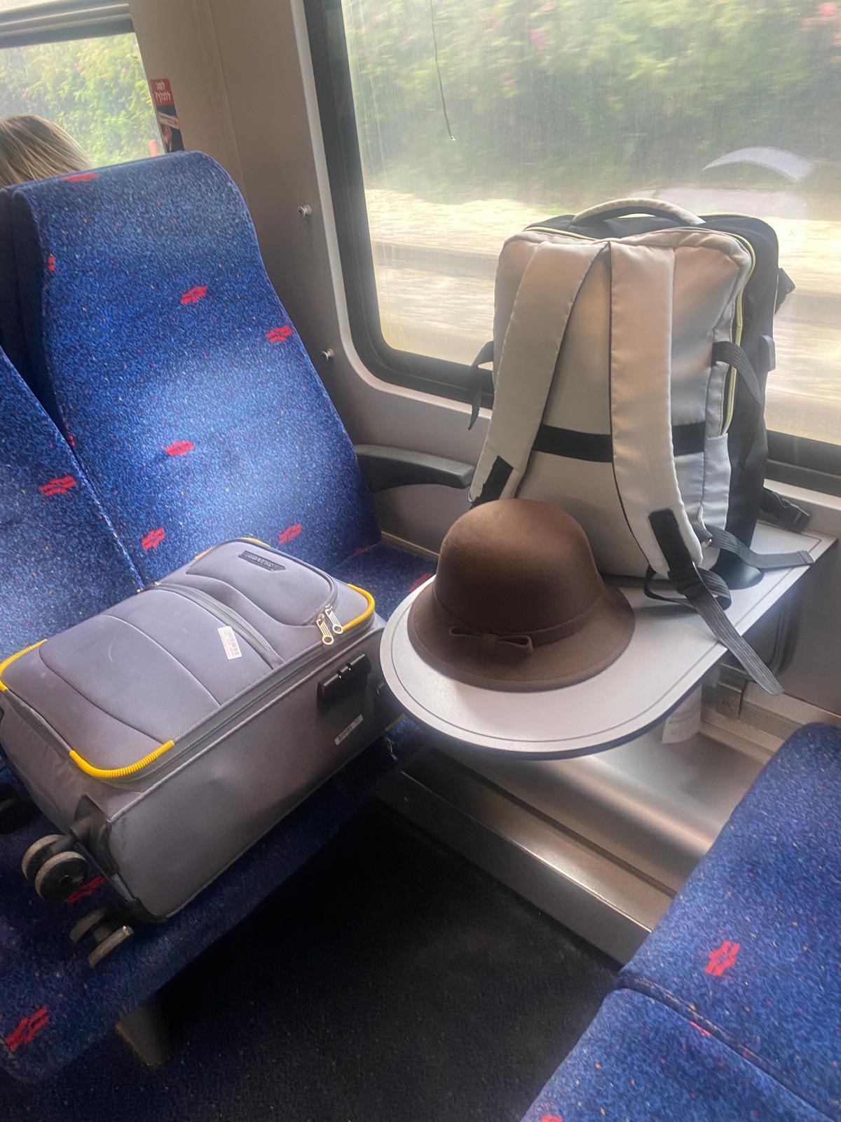 ברכבת עם התיקים הכבדים שסחבתי (צילום: ליזט ממן פוגל)