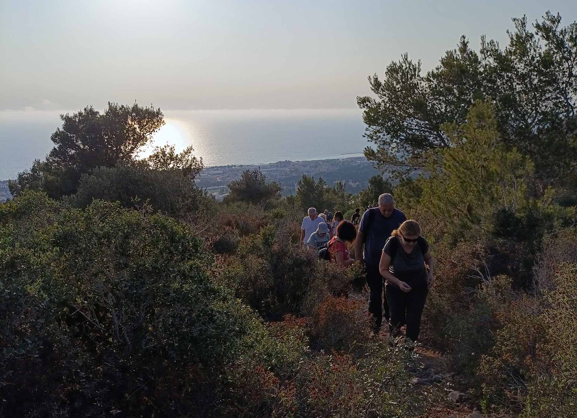 סיור במורדות לנקולן - שטח ירוק תחת סכנת בנייה (צילום: חנה יפה)