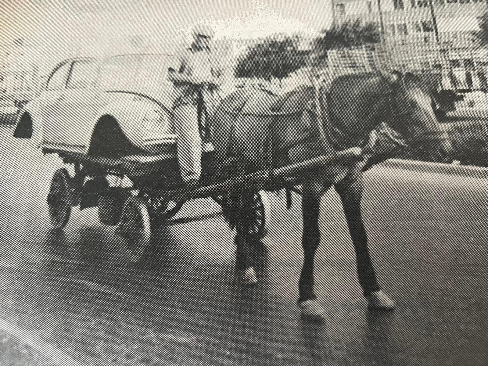 עגלון מוביל בעגלתו שילדת ״פולקסוגן״- אילוסטרציה (צילם: אורי שרון)