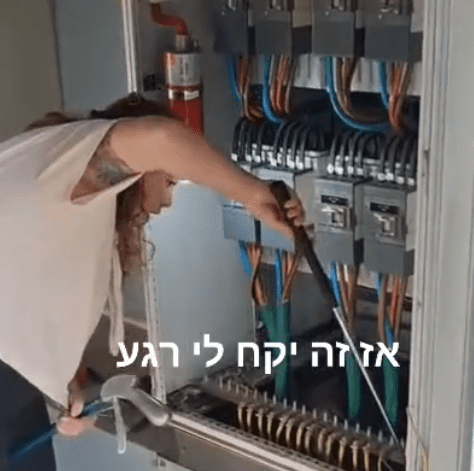 לכידת נחש צפע (צילום: זהר להט)