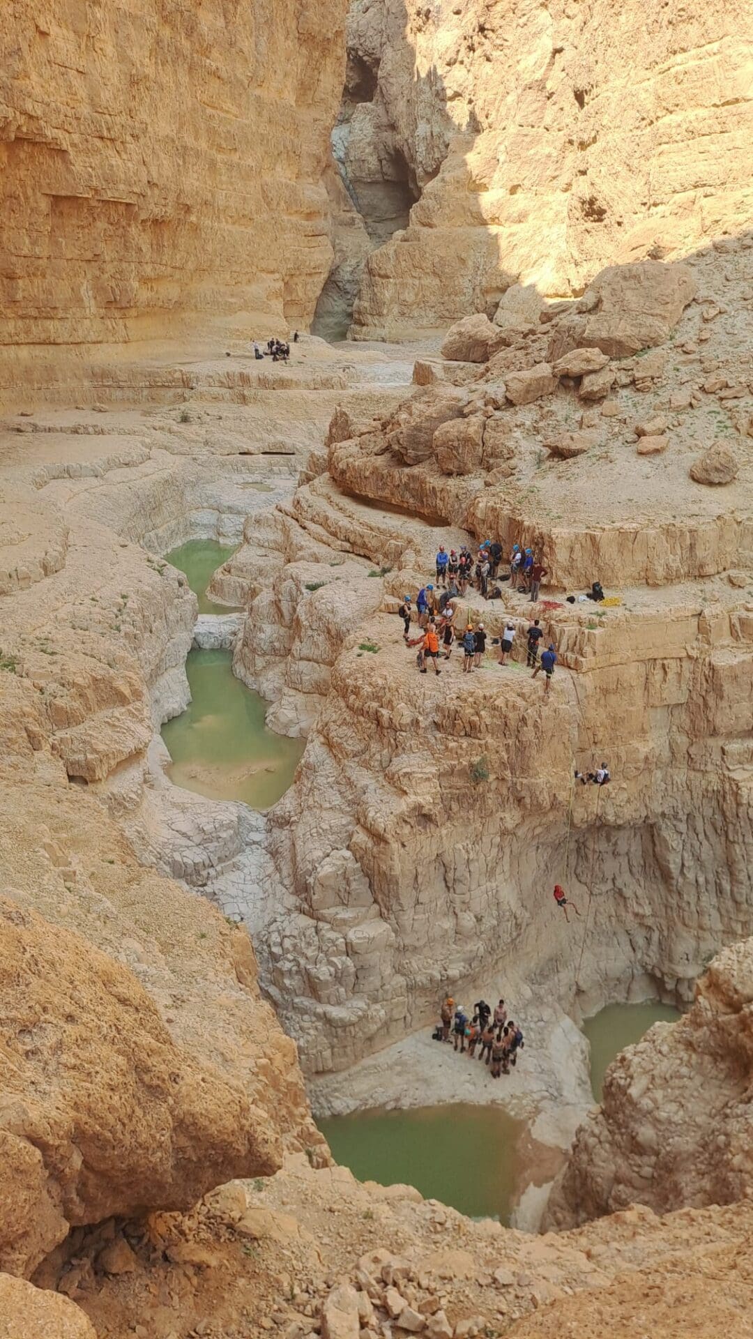 הגבים הטריים בנחל רחף (צילום - שי רוזנצווייג, רשות הטבע והגנים)